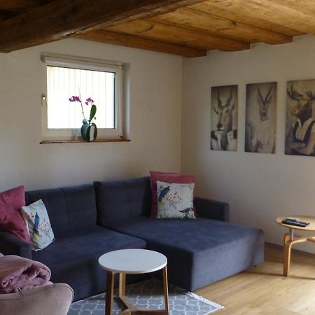 Ferienwohnung Rabennest บาดอิสชิล ภายนอก รูปภาพ